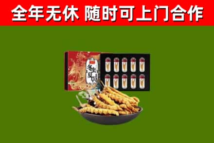新龙烟酒回收冬虫夏草礼盒.jpg